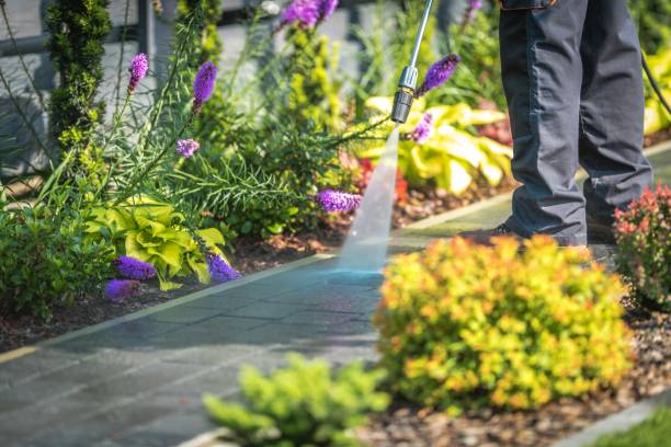 Trusted Olmos Park, TX  Pressure Washing Services Experts